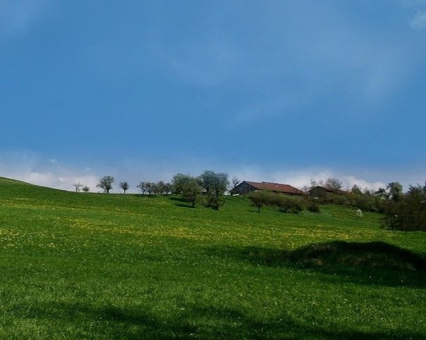 farm landscape scene with blue sky and green rolling hills